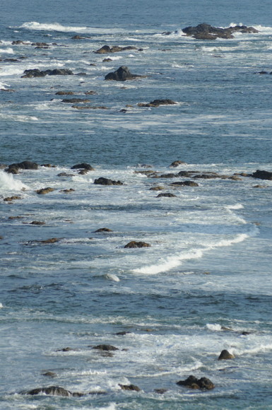 海の景色